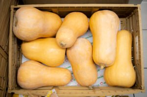 sobre Noel Supermercados. Calabazas