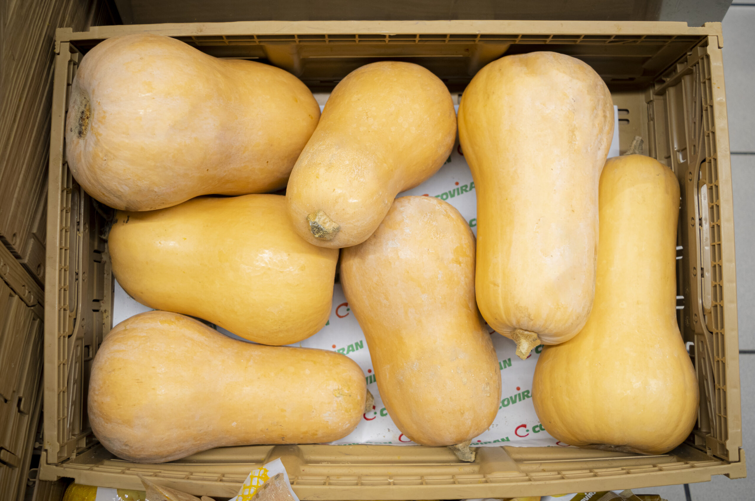 sobre Noel Supermercados. Calabazas